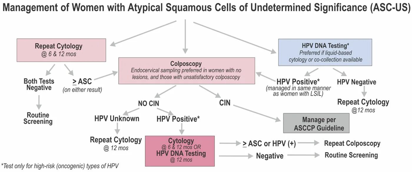 Атипия клеток неясного значения asc us. Atypical squamous cells of undetermined significance (asc-us)). asc-us. asc-us hpv что это. asc-us (a2).