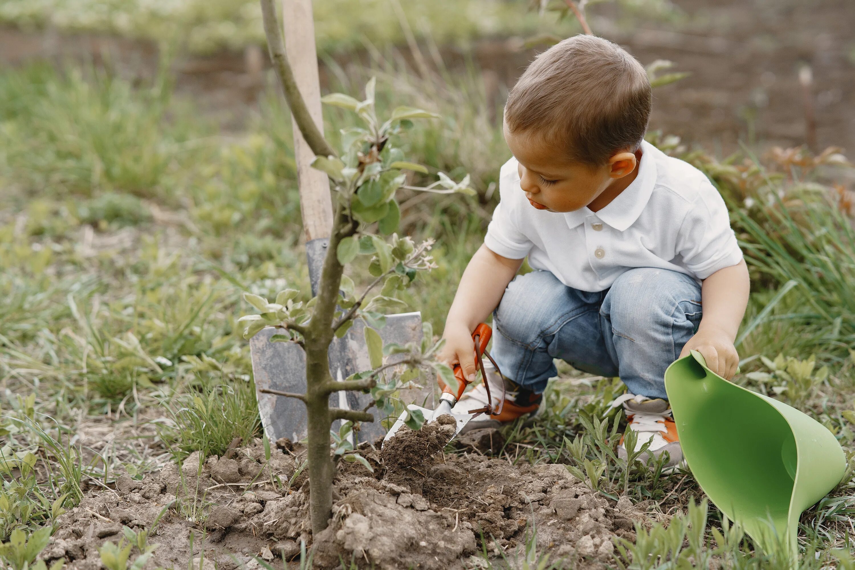 Boys plant. Посадка деревьев. Дети сажают деревья. Мальчик сажает дерево. Сажать.