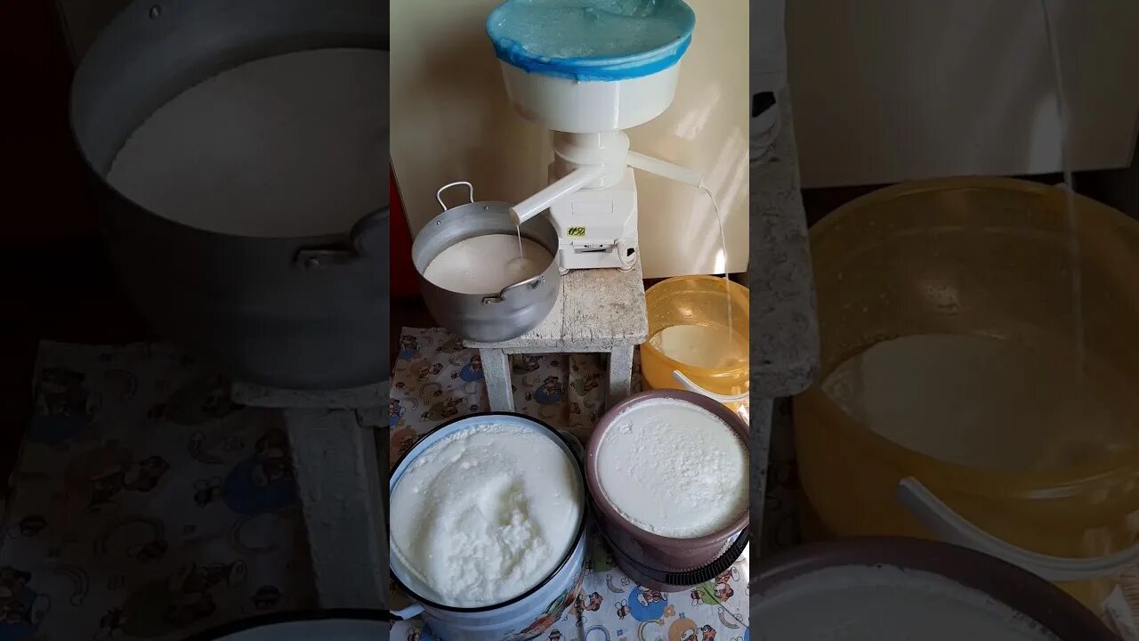 Как сепарировать молоко. Сепарировать молоко. сепарирование сливки. сепарированные сливки домашние. творог из сепарированного молока.