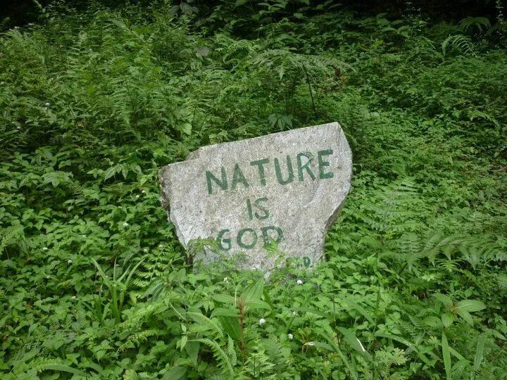 Горы тропики. Лес броселианд. Its my second nature. Love nature для детей. Nature is god.