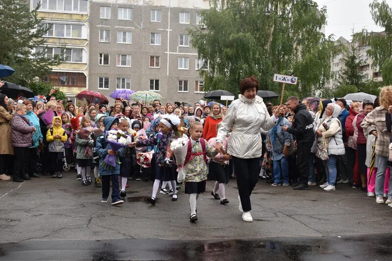 Сайт 17 школ череповец. 17 школа череповец. 16 школа череповец. школа 16 череповец директор. школа 16 череповец фото.