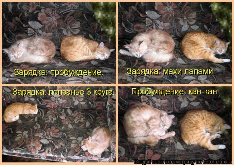 всё теже на манеже. человек повторяет одни и теже буквы. в нас пропал дух авантюризма. где ваш дух авантюризма. необязательно как пишется.