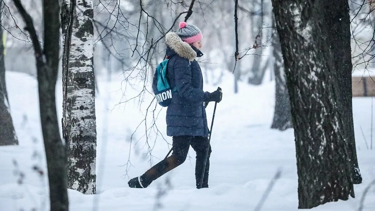 Какая предстоит зима
