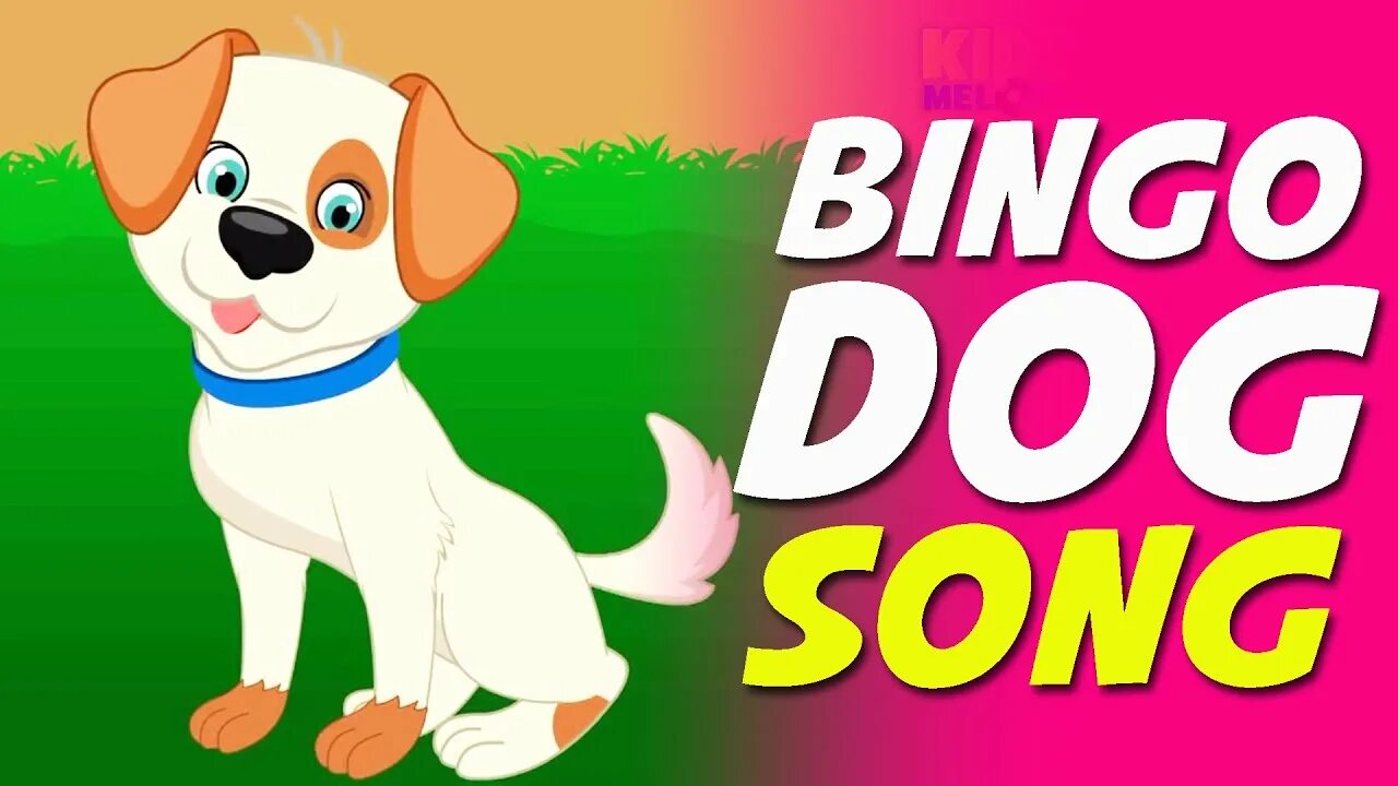 Песня моя собачка одета. Bingo Dog. Bingo Song. A Dog Бинго. Dog Song.