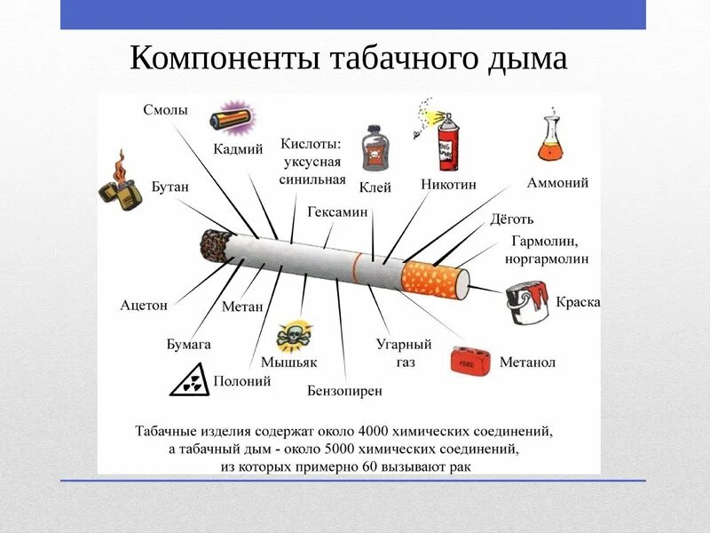 Состав сигареты ОБЖ. Курение из чего состоит сигарета. Табакокурение состав табачного дыма. Состав и строение сигареты.