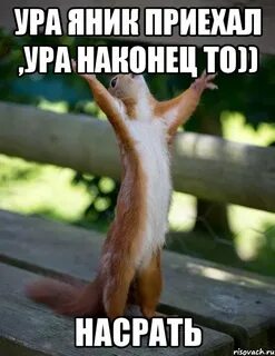 День домой