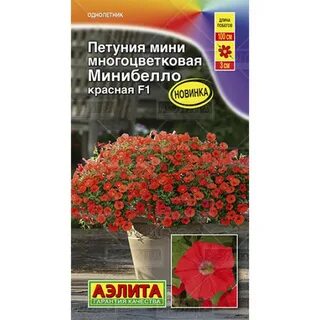 Петуния минибелла отзывы