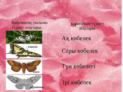 Бейне фистинг com