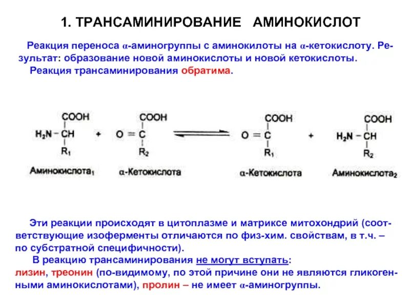 В результате которого появляется новая. Валин трансаминирование. Трансаминирование витамина в6. Переаминирование аминокислот общая схема. Общая схема реакции трансаминирования аминокислот.