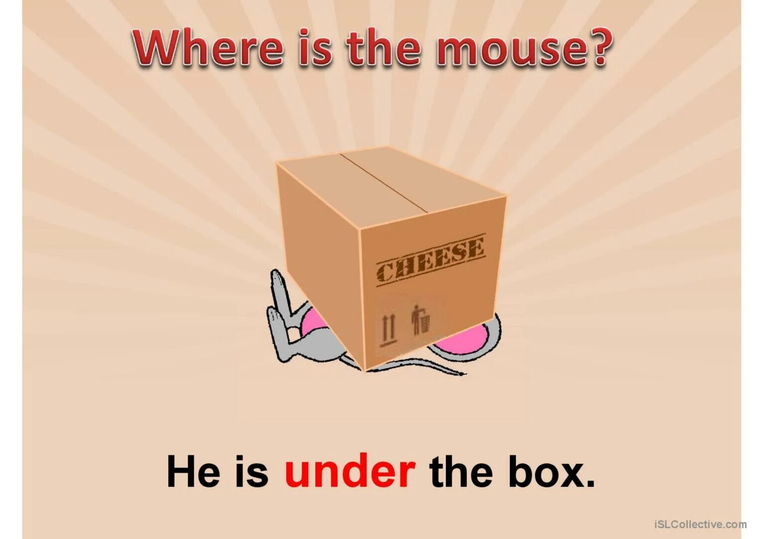 He takes the box. Mouse under the Box. Where is the Mouse. The Mouse is under the Box. The Mouse is the Box.