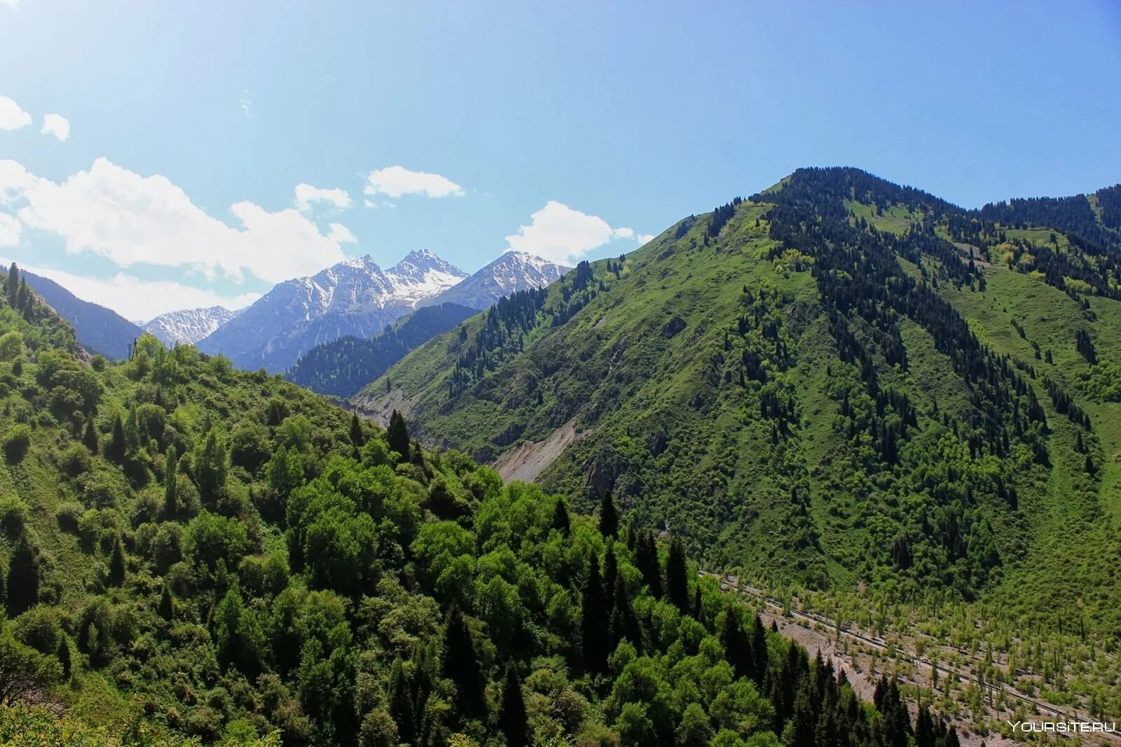 Днд дракон символ. Арбат алма ата. Алматы вектор. Алматы вид сверху. D d алматы.