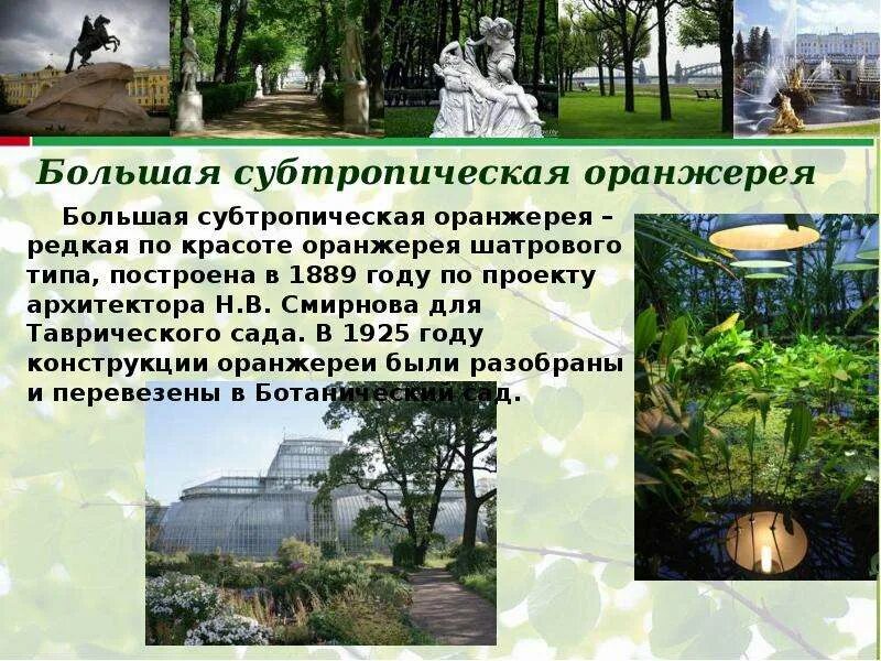 Это произошло в большой оранжерее сочинение. Это произошло в большой оранжерее сочинение. Это произошло в большой оранжерее сочинение. В одном большом городе был ботанический. Это произошло в большой оранжерее сочинение.