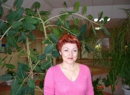 Волжском одноклассники
