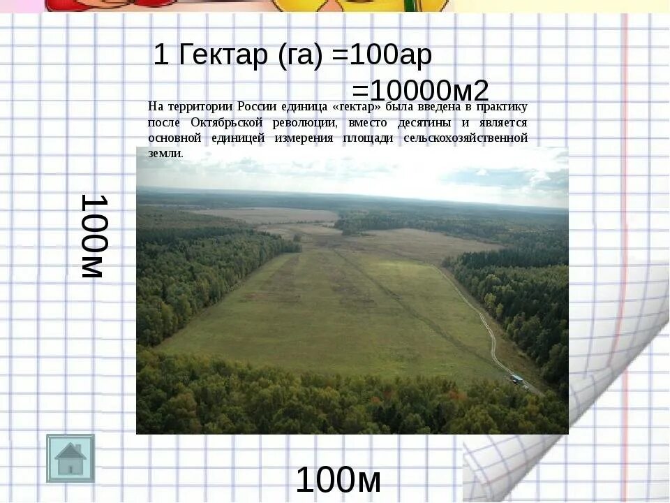 Площадь 1 гектара земли. Сколько в 1 га метров метров. Гектар земли в метрах. Размер участка 1 гектар в метрах. Ары это сотки