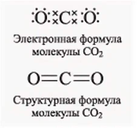 Газы co и co2