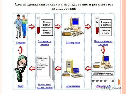 Лабораторная работа информационные системы