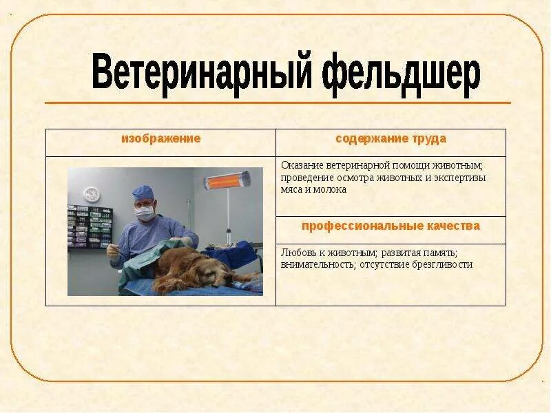 Проект по технологии на тему фельдшер Картинки МЕДИЦИНСКИЙ ТЕХНИК ЭТО