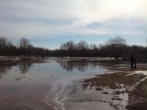 Уровень реки алей