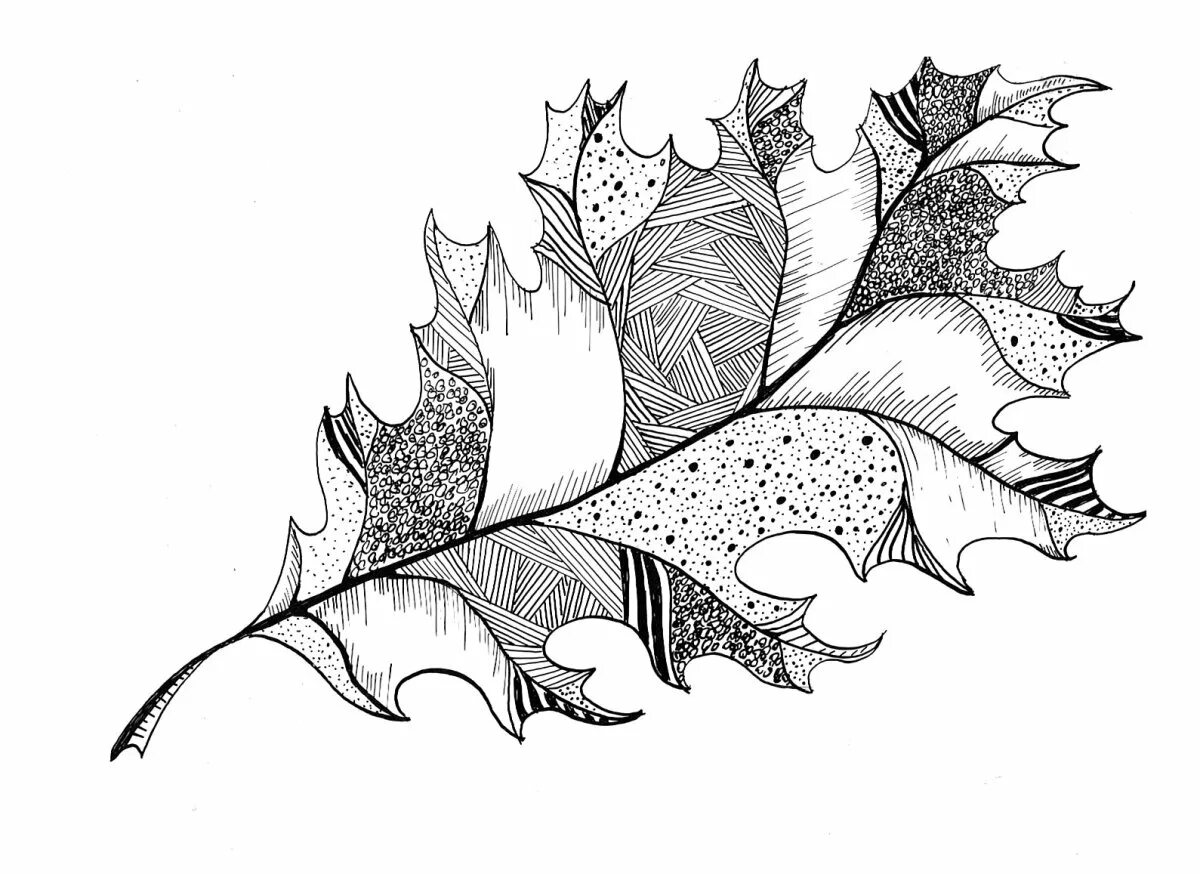 Стилизованные листья деревьев. Рисунок листьев графика. Стилизованные листья. Рисунок листьев графика. Листья в графике.