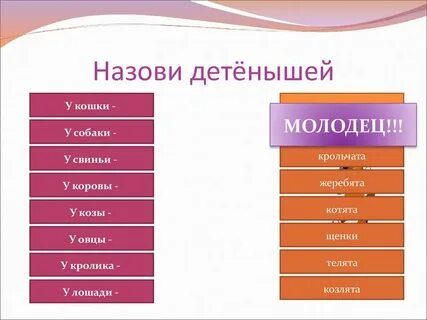 Как называют детеныша