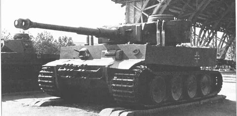 Тигр 100