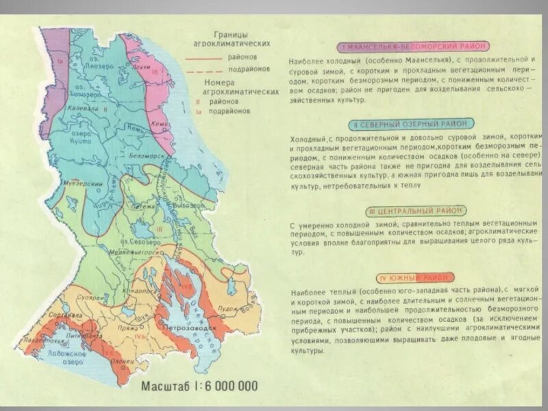 Карелия какой экономический. Климатическая карта Республики Карелия. Климат Карелии карта. Республика Карелия на карте рельеф. Почвенная карта Карелии.