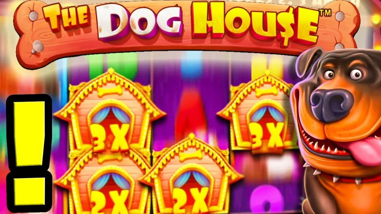 The dog house megaways dogs house net. Дог Хаус слот. Слот собаки казино. Синяя собака Dog House казино. Дог Хаус занос.