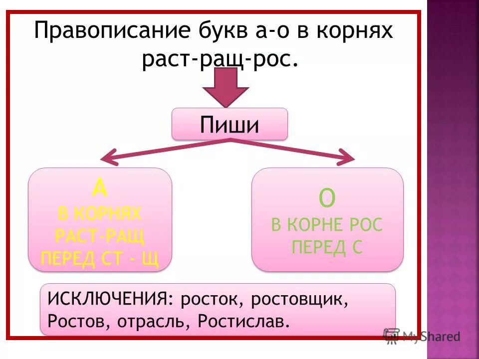 Почему пишем расти