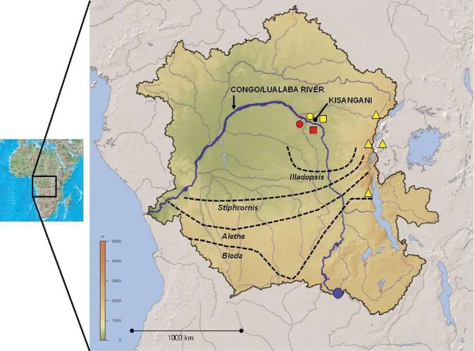 Где находится река конго на карте мира Milana-Tour.ru