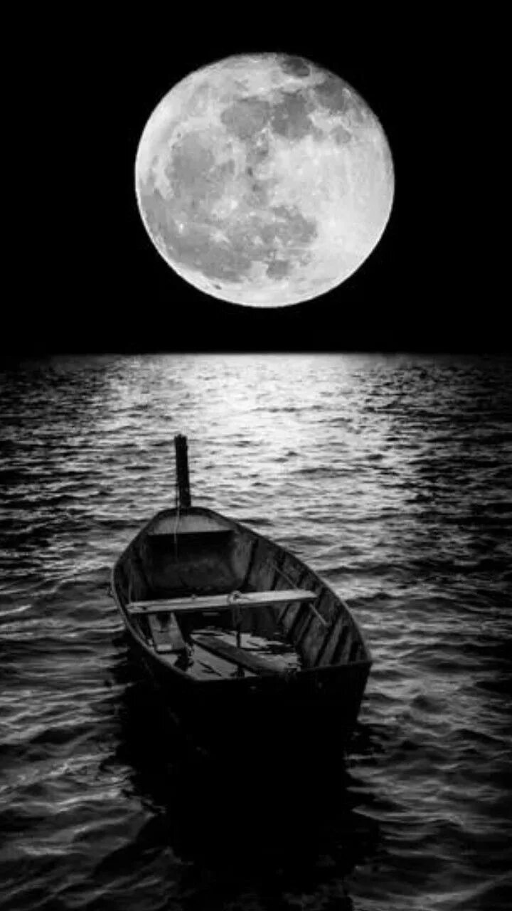 Словно белая луна. Луна черно белая. Лодка ночью. Чёрно-белые картины. Луна и море.