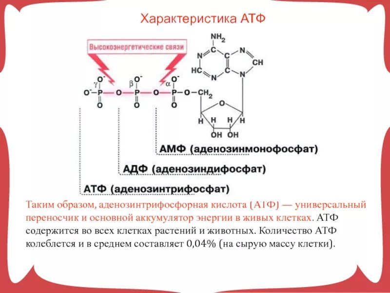 Атф термин. Строение АТФ И АДФ. Строение АТФ типы химических связей. Строение АТФ химия. Химическая структура АТФ.