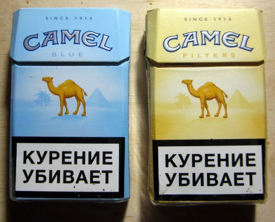 Сигареты Camel Compact 100. Пачка сигарет кэмел желтый. Camel 1913 пачка сигарет. Сигареты кэмел компакт желтый. Вкус кэмел компакт