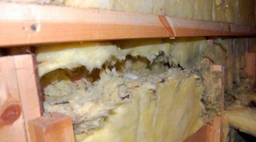 Дом миши. Шершень гнездо рой. Мышиное гнездо. Гнездо под полом. Мыши и утеплитель минвата.