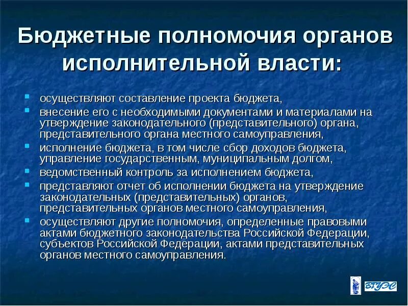 Бюджетные полномочия государственной власти