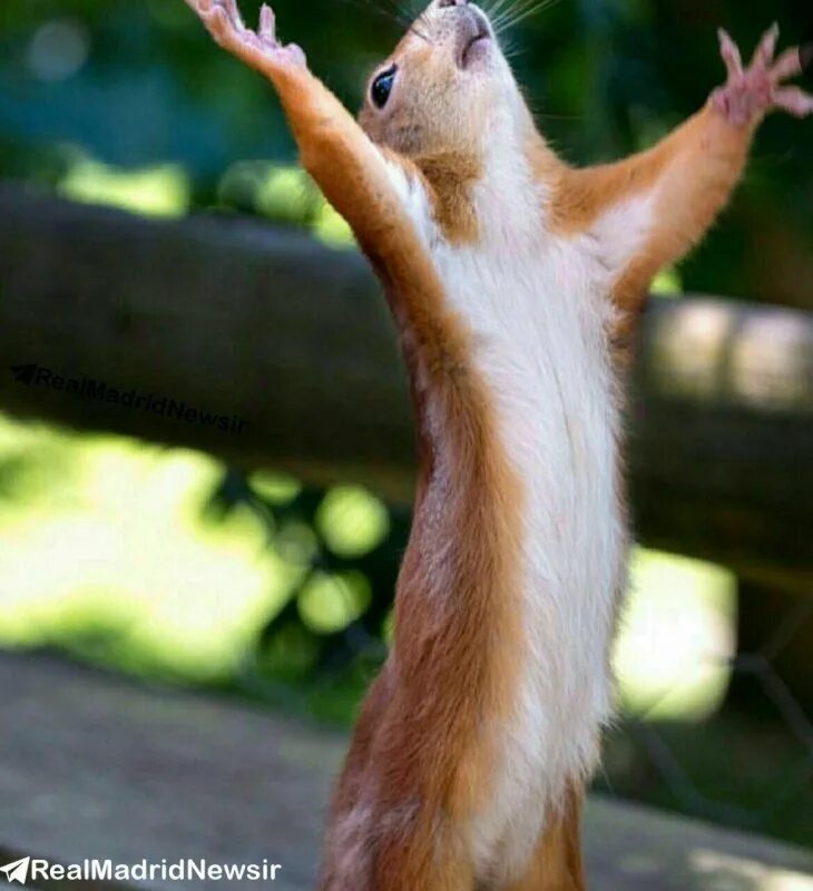 Картинка наконец то. Статусы про налаживание жизни. Жизнь налаживается картинки. Доктор я буду жить. Прикольные картинки с текстом.