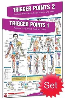 Trigger body