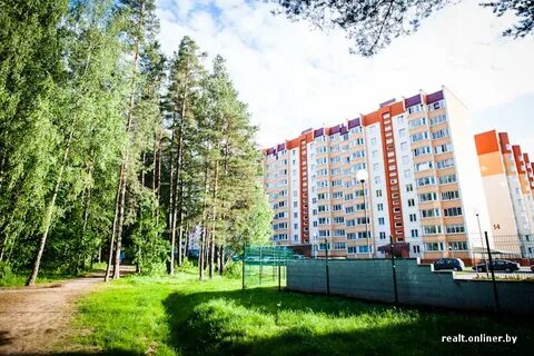 Квартал бор