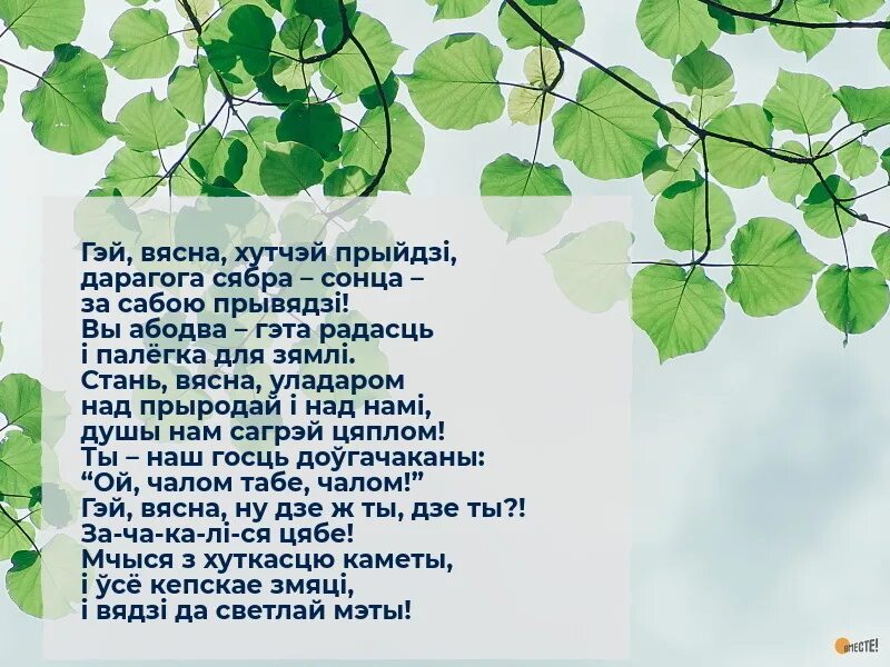Стихи на белорусском языке. Стихи по белорусской мове. Верш пазвоніць аднойчы вясна. Добрай раніцы картинки на беларускай мове вясна. Схема аналізу верша.