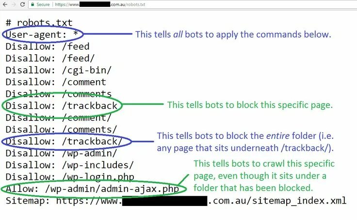 Директива robots. Примеры файла robots. пример robots.txt. правильный роботс тхт. txt примеры.