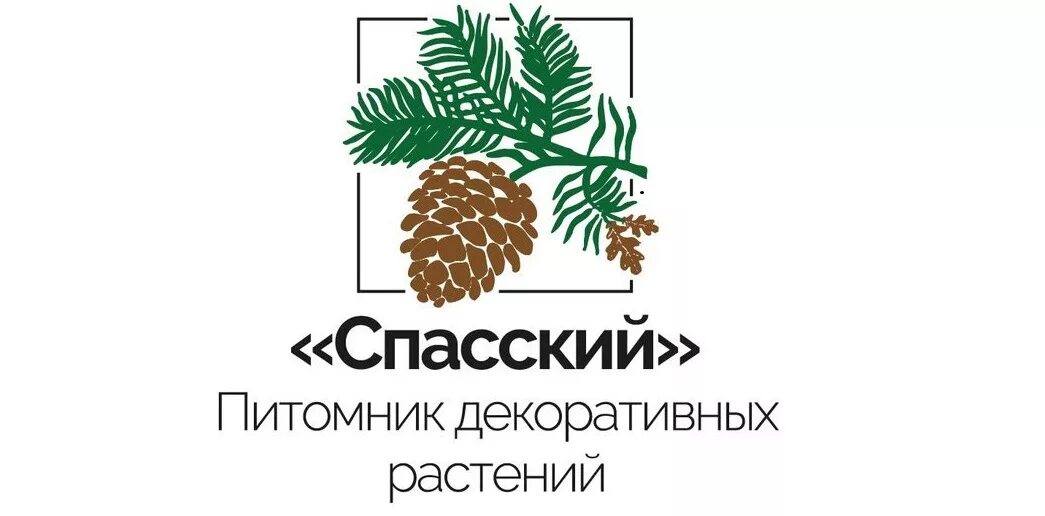 Питомник растений рязань. Александровский питомник декоративных растений Рязань. Спасский питомник декоративных растений. Питомники в Рязани. Рязанский питомник декоративных растений.