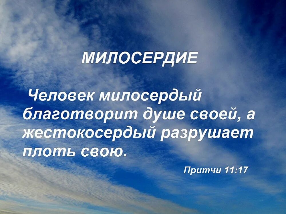 Господь управляет шествием его сердце человека обдумывает. Сердце человека обдумывает свой путь но Господь. Милосердный человек. Господь управляет шествием. Милосердный 11