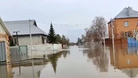 Паводок приводит