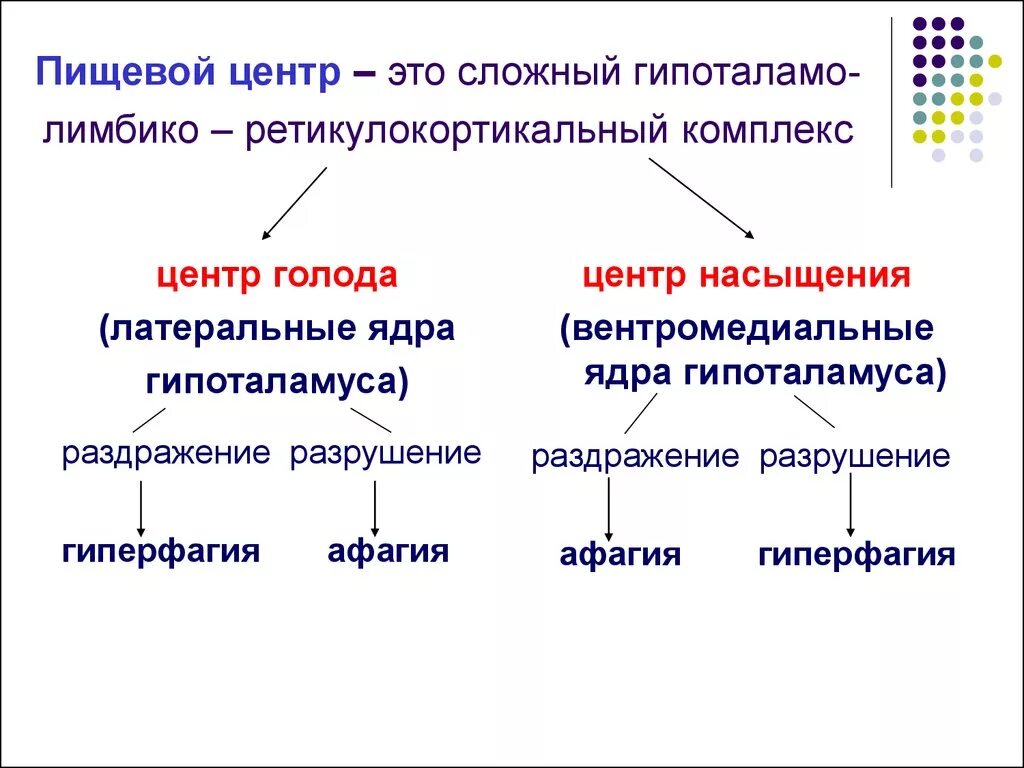 Центр регуляции голода и жажды