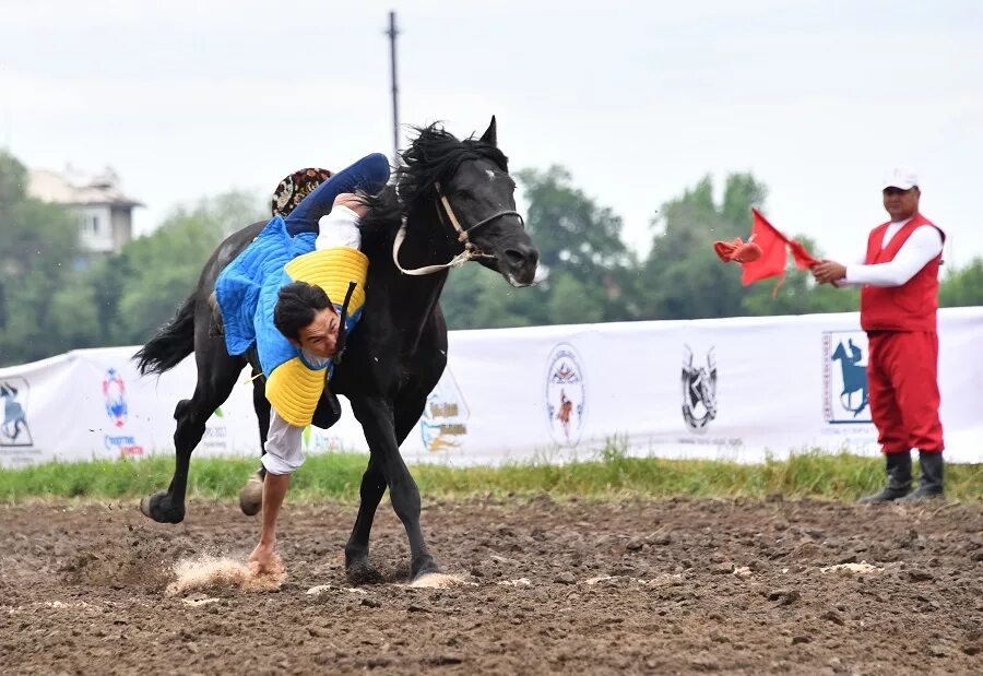 Тенге алу. Спорт түрлері. Кумис алу. Кумыс алу. Алу ойыны