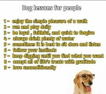 Faithful loyal