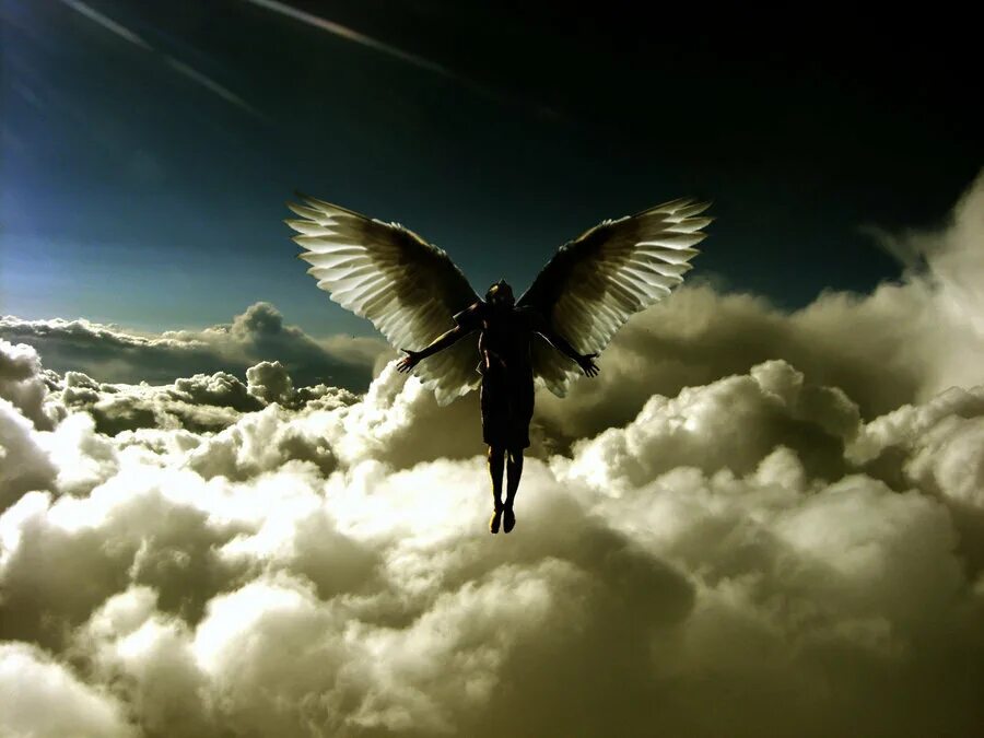 Слово ввысь. Ангелы летают. Ангел в полете. Полёт ангела. Взлетающий ангел.