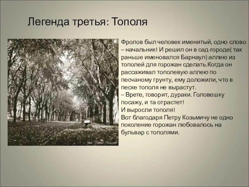 Легенды города Барнаула. Легенда о Тополе. Город легенд. Легенда о Тополе для детей. Тополя слова текст