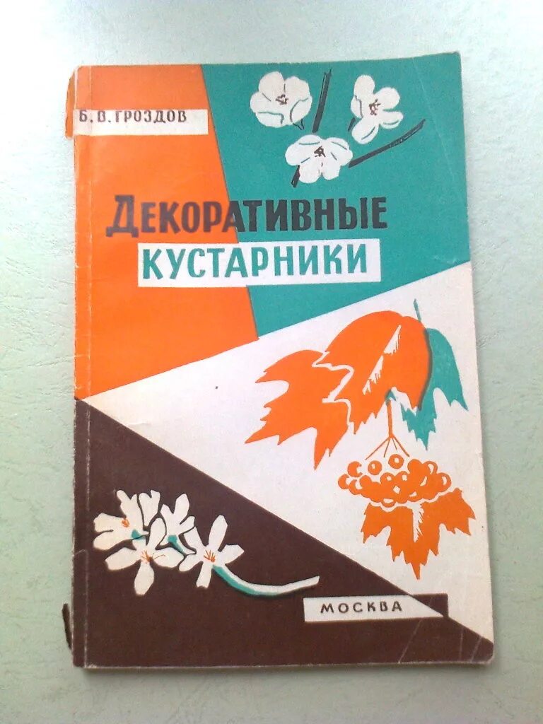 Чилижник кустарник. Церцис европейский иудино дерево. Гранатник махровый красный. Кусте. Куст автор.