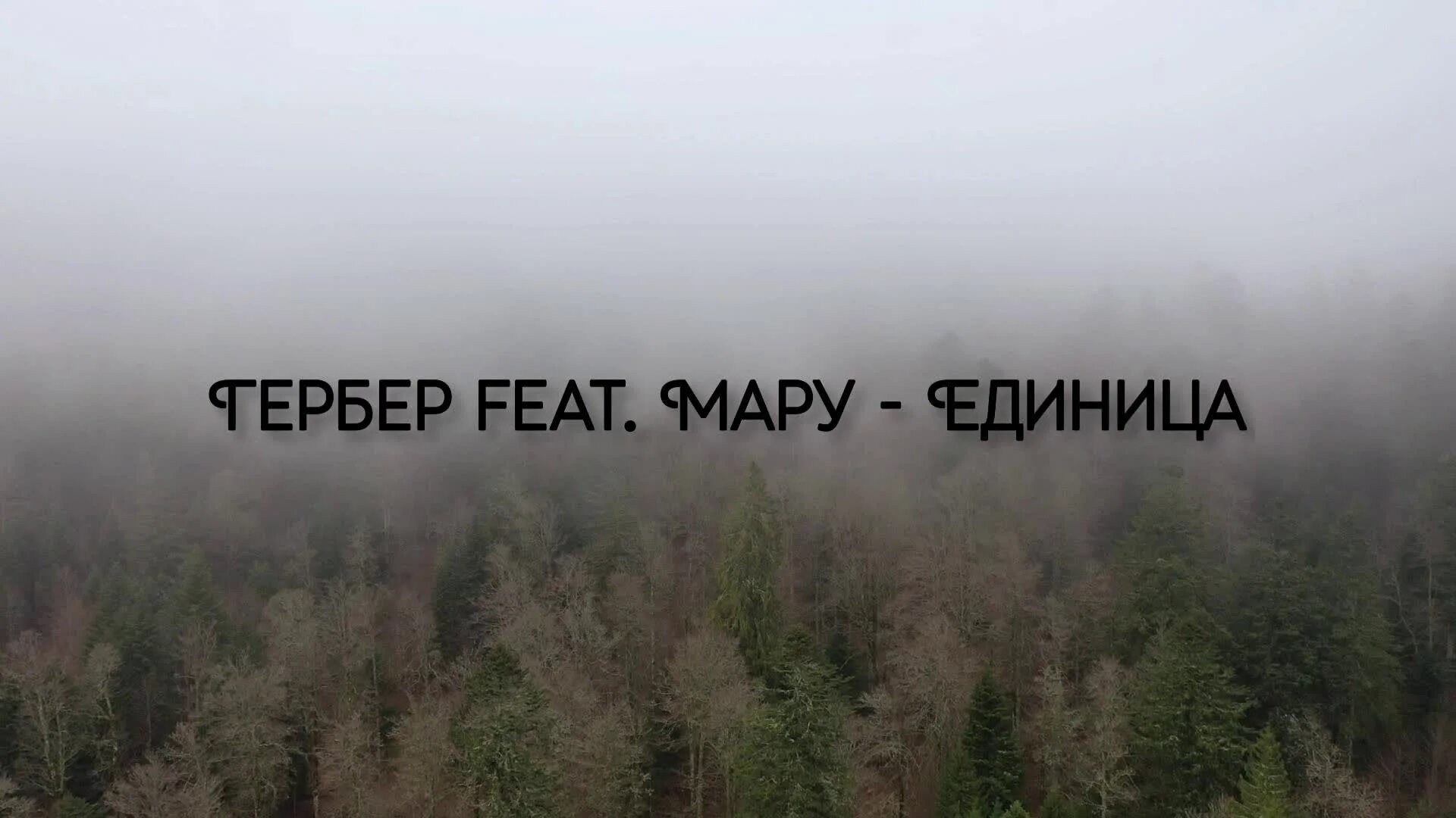 Песня хочу гербер мару. Единица гербер.