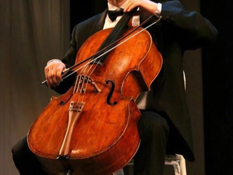 Международный день виолончели 29 декабря. День виолончели. Международный день виолончели 29 декабря. День виолончелиста всемирный. Международный день виолончелистов.